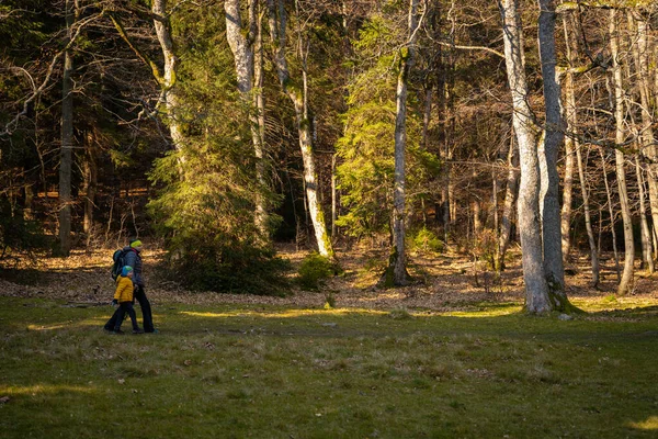 Une Mère Avec Enfant Chien Marchent Long Sentier Randonnée Montagne — Photo