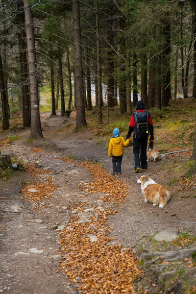Een Moeder Met Een Kind Een Hond Wandelen Bergwandelweg Familie — Stockfoto
