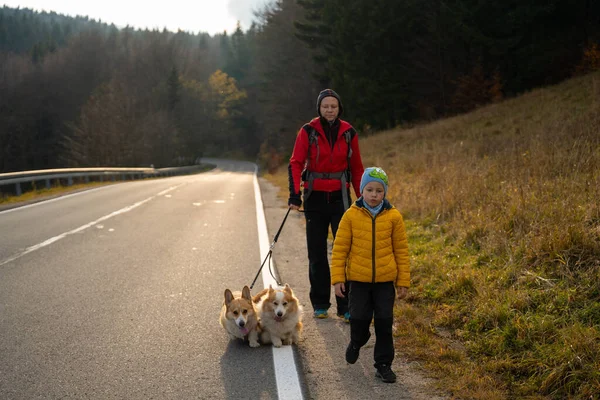 Mom with a child and dogs return from the mountain trail, they walk along the asphalt road. Family spending time. Polish mountains