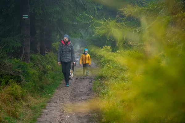 Anya Fiával Kutyáival Rönkökön Sétál Egy Kis Patakon Lengyel Hegyek — Stock Fotó