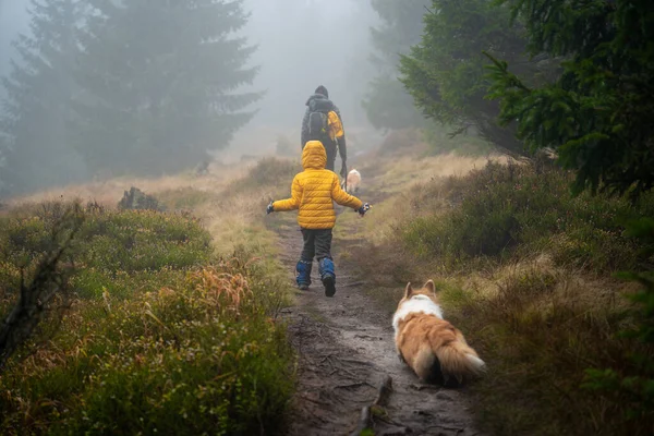 Anne Oğlu Köpekleri Küçük Bir Derede Uzanan Kütüklerin Üzerinde Yürüyorlar — Stok fotoğraf