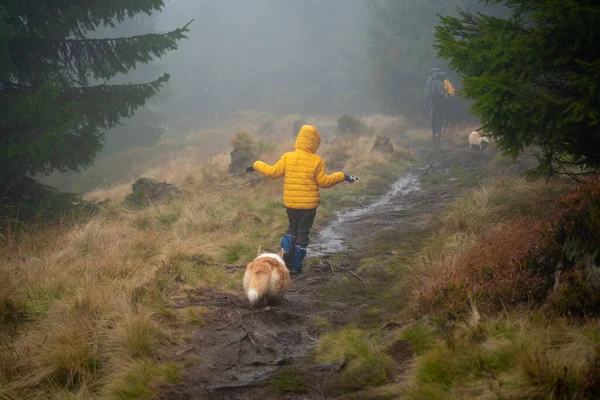 Anya Fiával Kutyáival Rönkökön Sétál Egy Kis Patakon Lengyel Hegyek — Stock Fotó