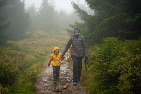Anne ve küçük oğlu nemli sonbahar havasında dağ yoluna çıkarlar. Onlara bir köpek eşlik ediyor. Polonya dağları