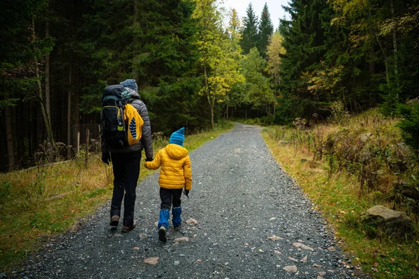 Sonbahar boyunca, annem ve küçük oğlu bir dağ yoluna giderler. Polonya dağları