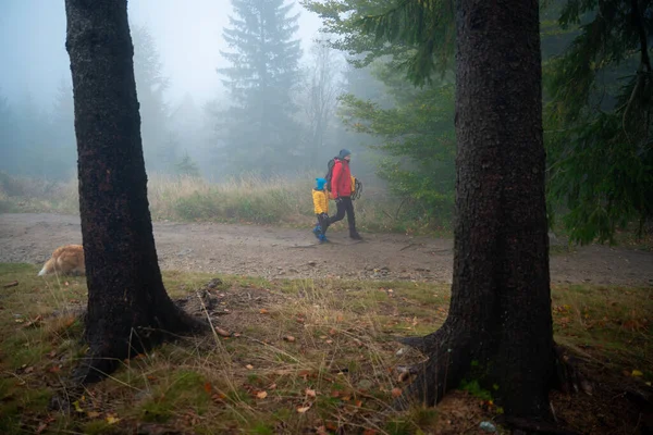 母親と彼女の小さな息子は 雨の多い秋の天候で山道を行く 彼らは犬を伴っている ポーランドの山 ロイヤリティフリーのストック画像
