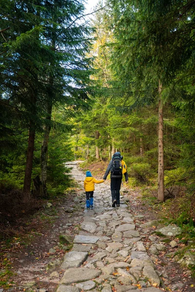 秋の間 母と息子は山道を進みます ポーランドの山 ストック写真
