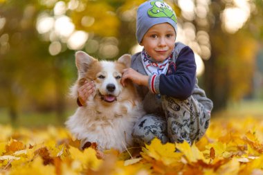 Arkadaşlar, bebek ve köpek güzel altın yapraklar içinde birlikte oturuyorlar. Parkta sonbahar. Yedi yaşında bir çocuk.