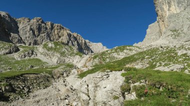 Alplerde çimlerle kaplı Rocky Dağı yamacı. Bavyera Alplerinde Zugspitze Massif