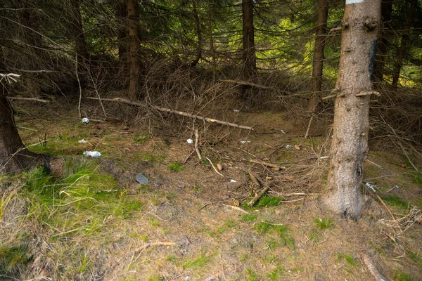 山中远足小径附近被污染的森林 波兰山区 — 图库照片