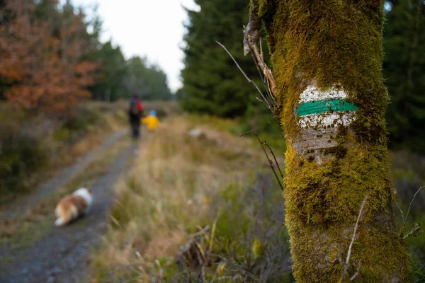 Aanduiding Toeristische Route Mensen Met Een Hond Achtergrond Poolse Bergen — Stockfoto