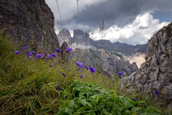Vista Tre Cime Lavaredo Desde Dolomite Trail Dolomitas Italia — Foto de Stock