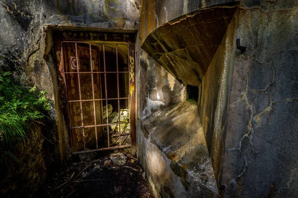 Elhagyott Elhagyatott Beton Bunker Embriókkal Nyári Erdőben Bejárat Bunkerbe Dolomitok — Stock Fotó
