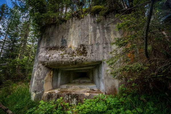 Abandonado Destoyed Bunker Concreto Com Embrasure Floresta Verão Entrada Para — Fotografia de Stock