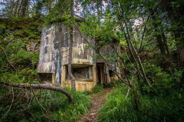 Verlassener Verlassener Betonbunker Mit Schießscharte Sommerwald Eingang Zum Bunker Dolomiten — Stockfoto