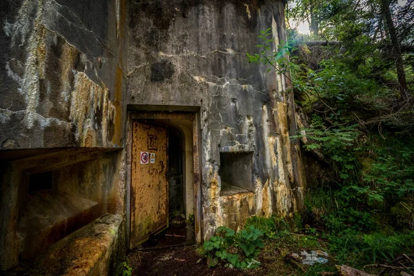 Abandoned, destoyed concrete bunker with embrasure in summer forest.Entrance to the bunker. Dolomites, Italy