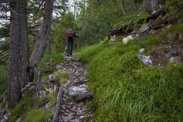 Турист Перетинає Віа Феррата Обладнанням Доломітах Dolomites Italy — стокове фото