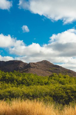 Balandra 'nın Meksika' nın Baja California Sur yarımadasındaki manzara portresi.
