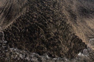 Rüya Körfezi, Ensenada de Muertos, La Paz, Baja California Sur, Meksika