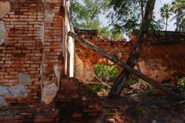 San Antonio Meksika 'da terk edilmiş evleri kapatın. La Paz, Baja California Sur, Meksika
