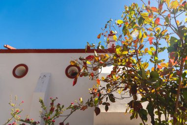 San Antonio sokaklarında ayrıntılar Meksika 'nın La Paz şehrinde, Baja California Sur, Meksika 