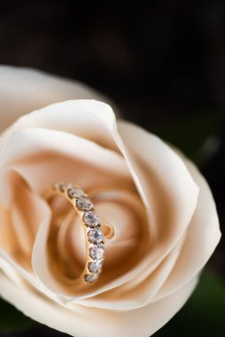 Güzel bir alyans yakın plan, tipik olarak sol yüzük parmağına takılan bir yüzük, genellikle metalden yapılır, geleneksel olarak altından ya da başka değerli bir metalden. Takan kişinin evli olduğunu gösterir.