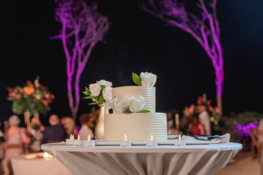 Düğün pastası, yemekten sonra düğün resepsiyonlarında verilen geleneksel pastadır.