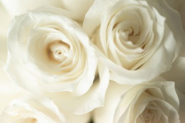 Buket, düğünlerde yaygın olarak kullanılan bir çiçek koleksiyonudur. Sembolizm, kullanılan çiçeklere ve kültüre bağlıdır. düğün buketi