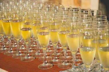 birçok şampanya bardağı yakın çekim