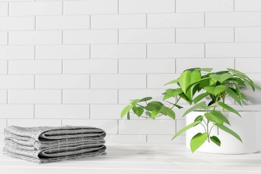 Güzellik ürünleri tanıtımı için yeri olan beyaz ahşap rafta havlu ve ev bitkisi yığını.