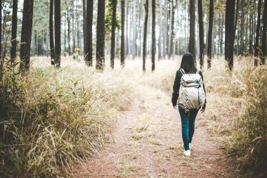 Phetchabun tropikal çam ormanında yürüyen sırt çantası ile Genç asya seyahat backpacker kadın, Tayland