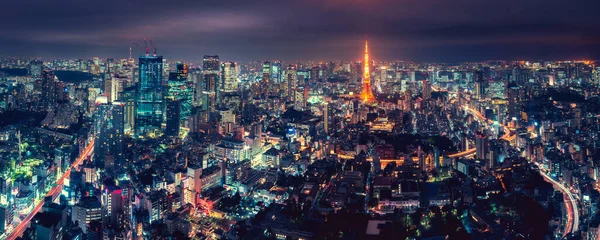 stock image Panorama Tokyo city skyline with Tokyo Tower at dusk in Japan, Colorful color