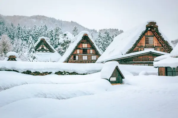Viajes Invierno Concepto Japón Pueblo Histórico Shirakawa Gokayama Con Nieve — Foto de Stock