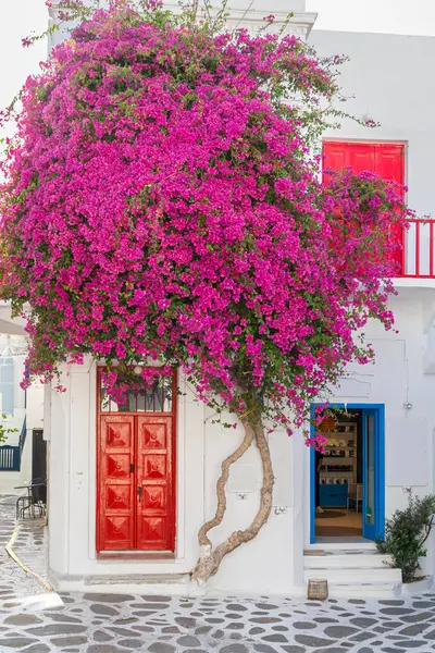 ミコノス島の典型的なストリートシーン ギリシャのキクラデス諸島の一つ ロイヤリティフリーのストック画像