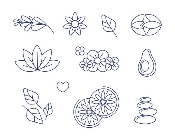 Set Vector Icons Theme Plants Avocado Lotus Wheat Lemon Flax — Stock Vector