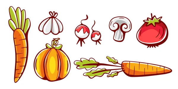 Set Vector Elements Theme Vegetables Cartoon Style Pumpkins Radishes Carrots — Stock Vector