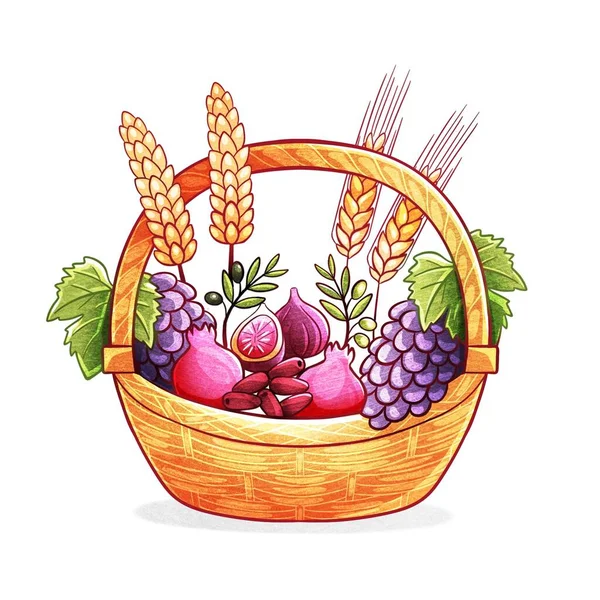 Illustration of a basket with harvest, wheat, barley, dates, grapes, pomegranate, figs.