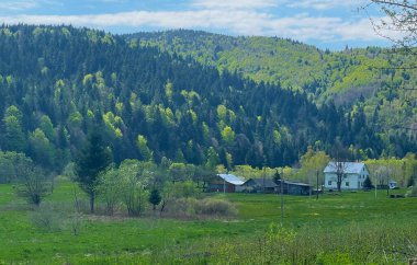 Kırsalda sakin bir köy hayatı