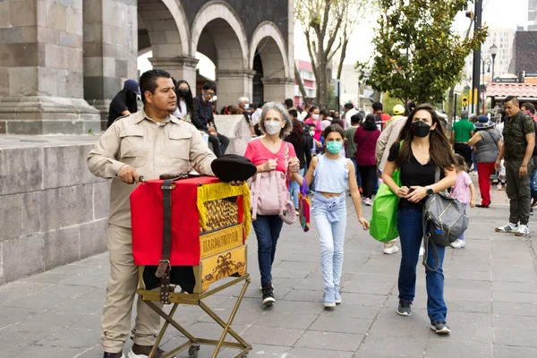 stock image Typical Mexican musician, organ grinder, typical street musician from Mexico City, who tries to liven up the crowd. Toluca State of Mexico, October 28, 2022