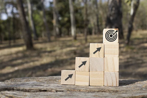 Zielsymbol Einigen Holzwürfeln Die Sich Einem Park Befinden Und Die — Stockfoto