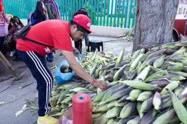 Sokaklarda mısır satan kişi, mısır günü, Topilejo Belediye Başkanı Tlalpan, Mexico City 'de mısır fuarı, 16 Eylül 2023