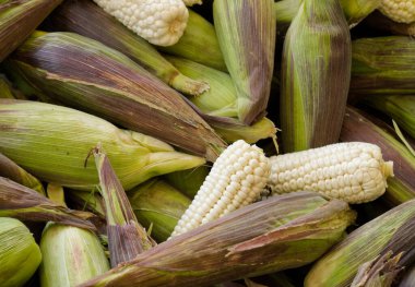 Taze hasat edilmiş yapraklı pek çok mısır satılmaya hazır.