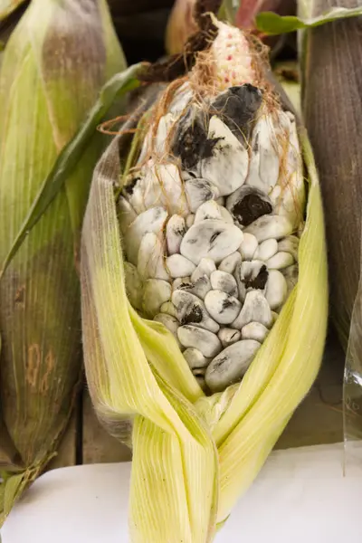 Huitlacoche ya da cuitlacoche, Ustilaginaceae familyasından bir mantar türü. Yerli ve Meksika mutfağında kullanılır. Atalarından kalma bir kültürün olduğu yerde. 