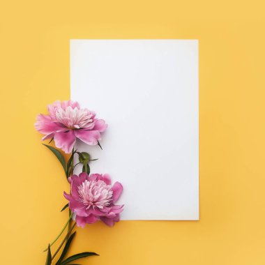 beautiful flowers on a pink background. top view.