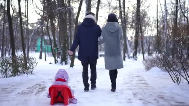 Rückseite Glückliche Junge Eltern Die Winterpark Schlitten Ziehen Und Mit — Stockvideo