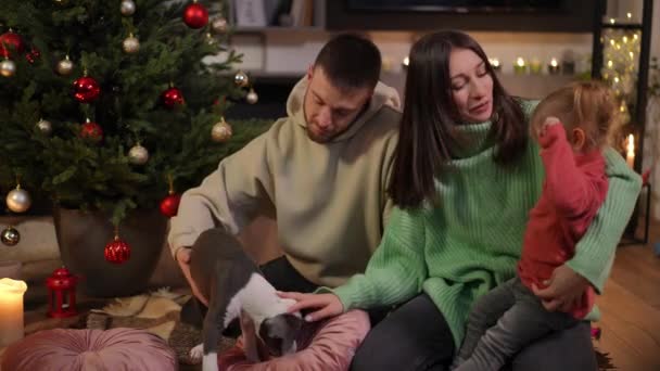 Küçük Kızıyla Oynayan Mutlu Bir Aile Evdeki Noel Ağacında Oturuyor — Stok video