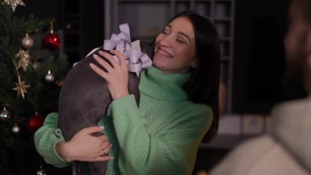 感謝の若い幸せな女性がクリスマスに男とリビングルームに立ってギフト弓で子犬を抱いての肖像画 感謝コーカシアの彼女とともに新年Eve現在A家 — ストック動画