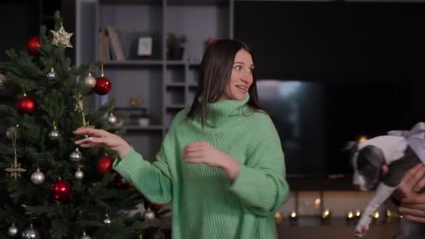 在圣诞节前夕 一个兴奋的女人在屋里接皮特布尔 特里耶小狗 快乐的白种人漂亮的年轻女友感谢男人的礼物亲吻男朋友 礼品和假日 — 图库视频影像