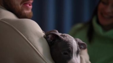 Tuhaf küçük bir köpeğin portresi tanınmaz bir adamın elinde ve arka planda neşeli bir kadın evcil hayvanı öpüyor. Mutlu safkan Amerikan Staffordshire Teriyeri 'nin heyecanlı sahipleri içeride