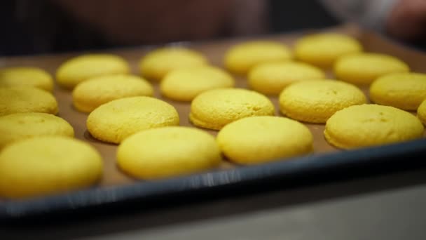 Großaufnahme Gelber Französischer Makkaroni Kekse Auf Backblech Wobei Eine Kaukasische — Stockvideo