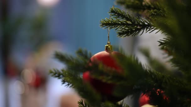 Großaufnahme Roter Neujahrsschmuck Auf Grünem Tannenzweig Vom Weihnachtsbaum Drinnen Ohne — Stockvideo